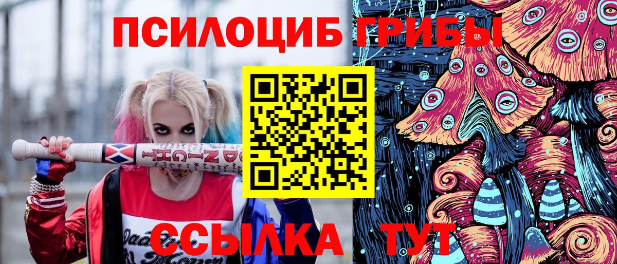 Галлюциногенные грибы Psilocybe Кизилюрт