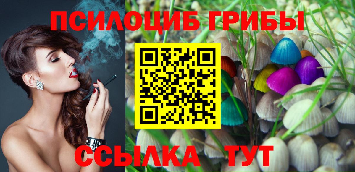 Галлюциногенные грибы Psilocybe  Вход с VPN  Кизилюрт  Псилоцибиновые грибы прущие грибы 