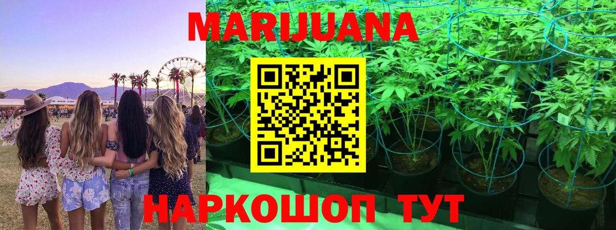 Бошки Шишки конопля Кизилюрт